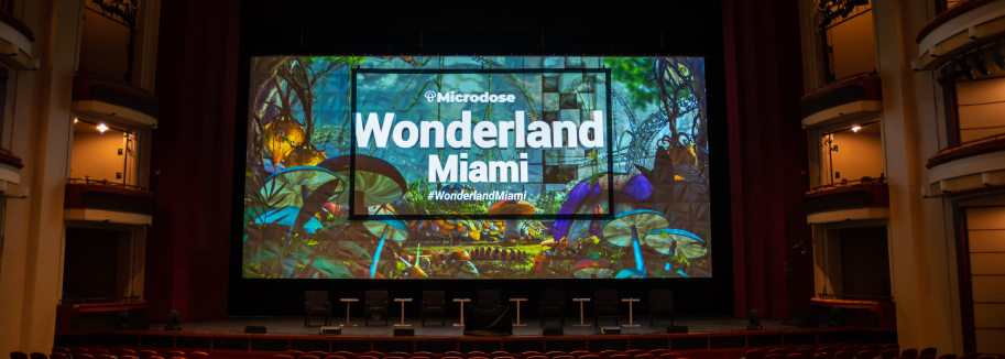 Miami in Wonderland