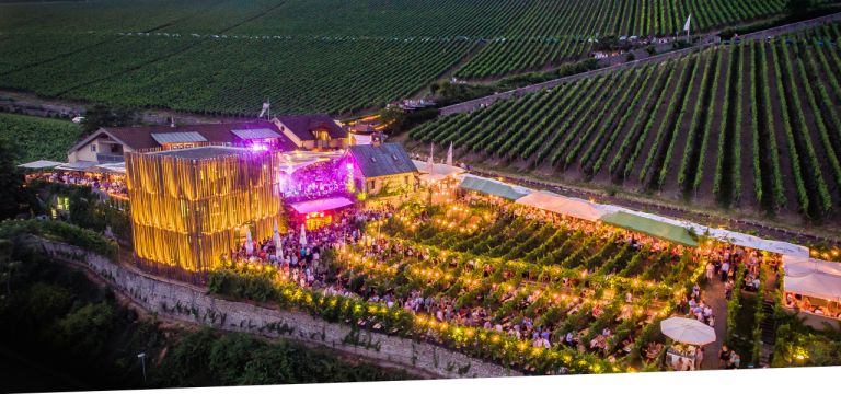 Weingut am Stein (Vineyard Estate, Würzburg)