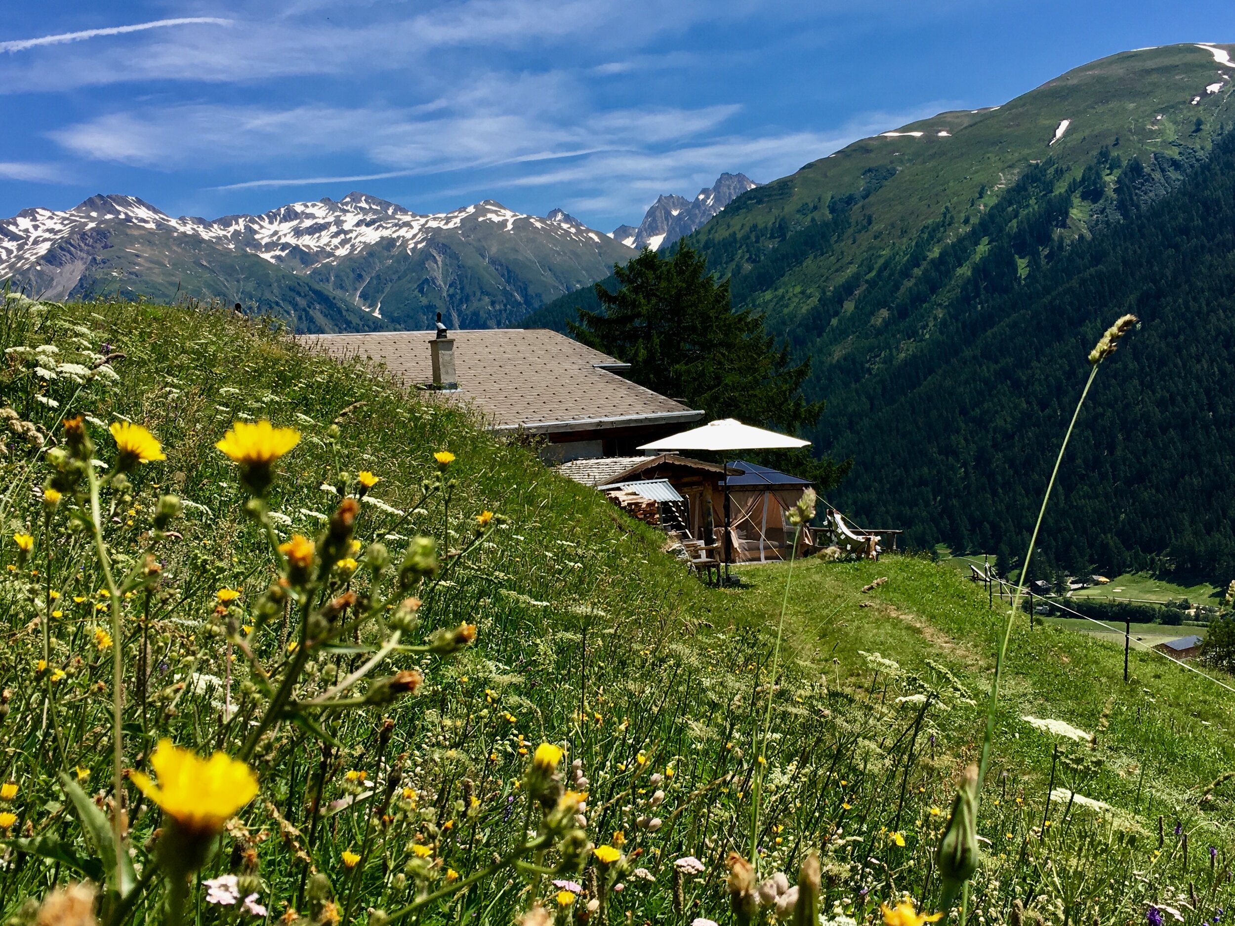 Luxury Glamping Experiences in the Swiss Alps