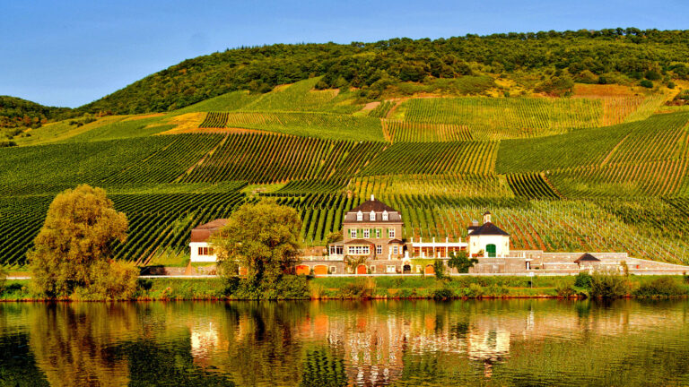 Luxury Corporate Events in Germany’s Mosel Valley