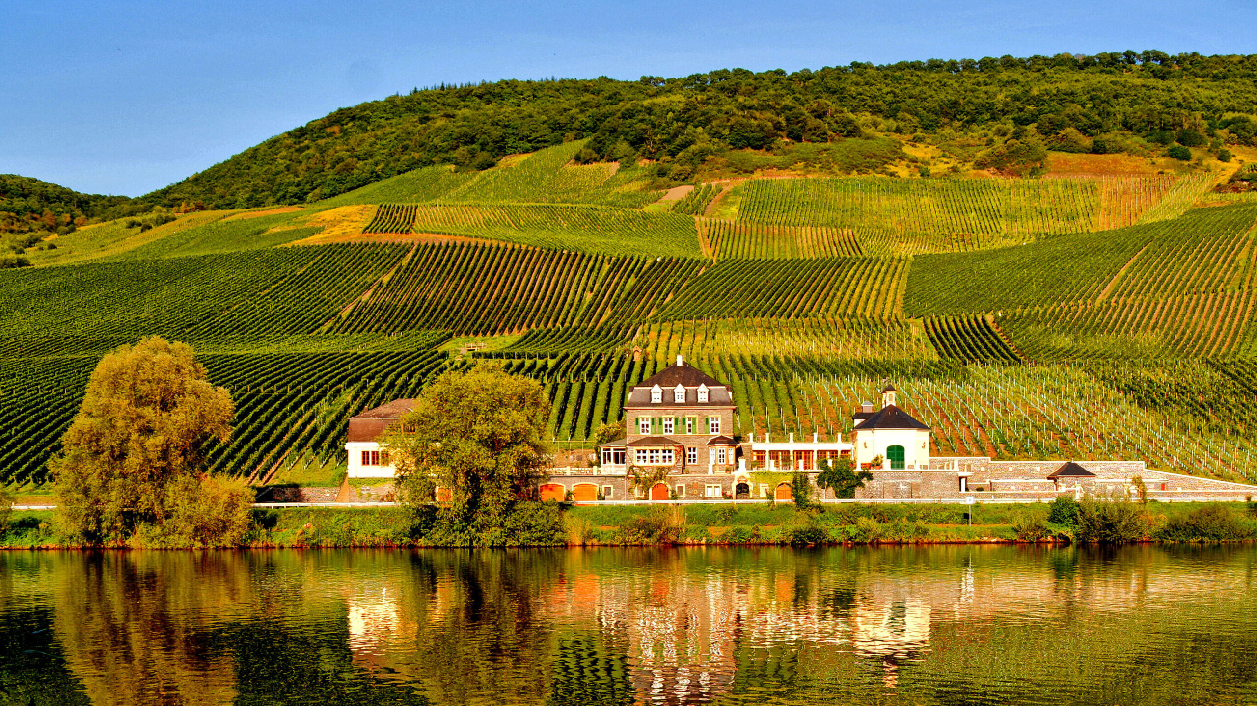 Luxury Corporate Events in Germany’s Mosel Valley