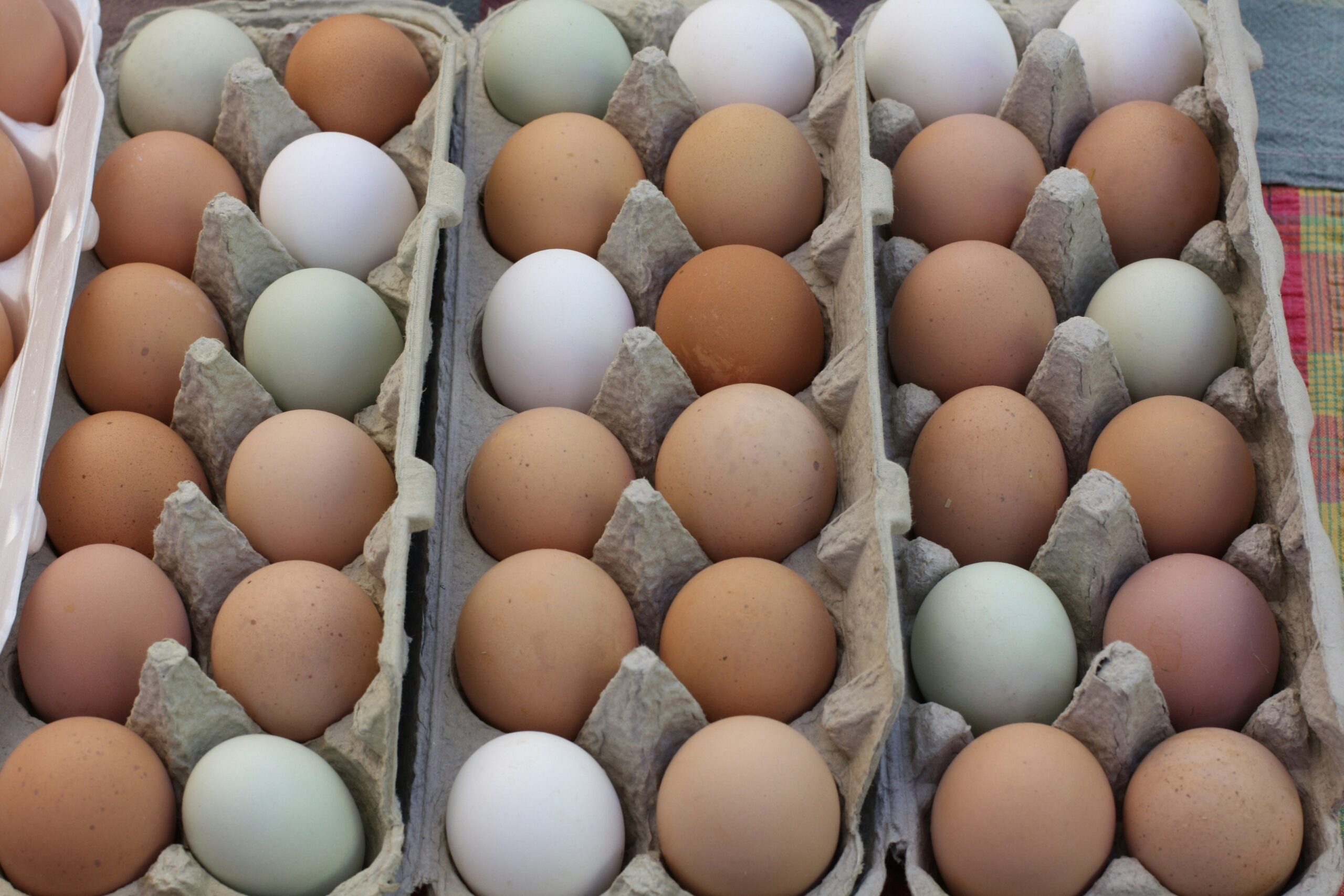 Event Portfolio Strategy for 2026 | The DMC Collective